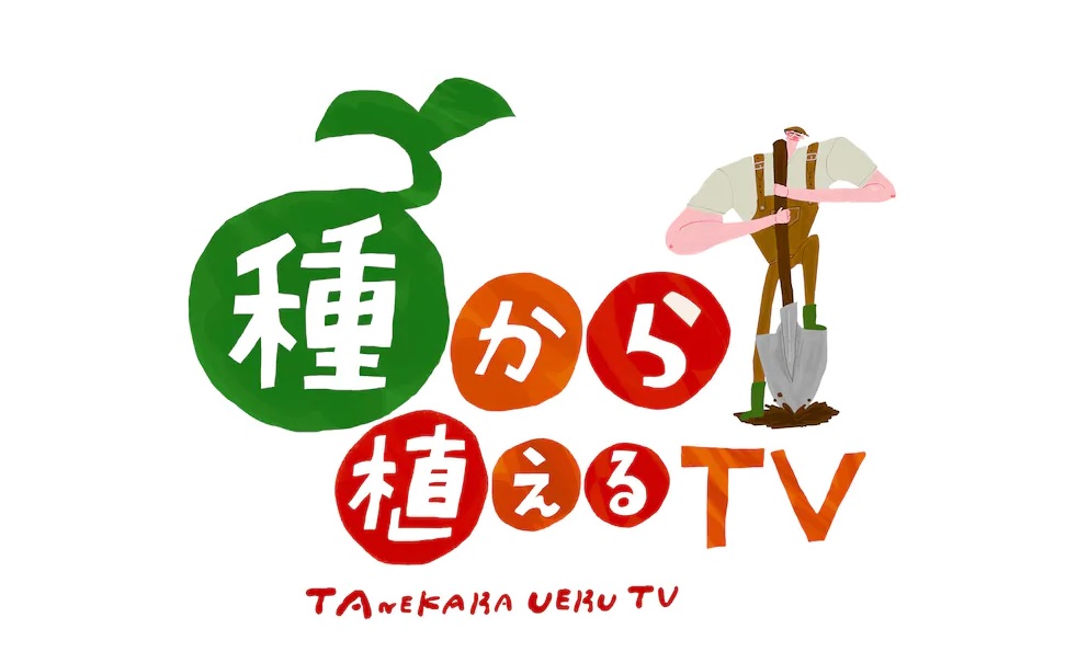 種から植えるTVの動画見逃し配信！YouTube以外で再放送バックナンバーなどを無料視聴