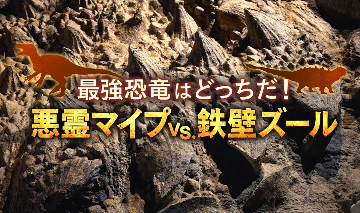 最強恐竜はどっちだ！の動画見逃し配信！YouTubeやNHKプラス以外で再放送を無料視聴